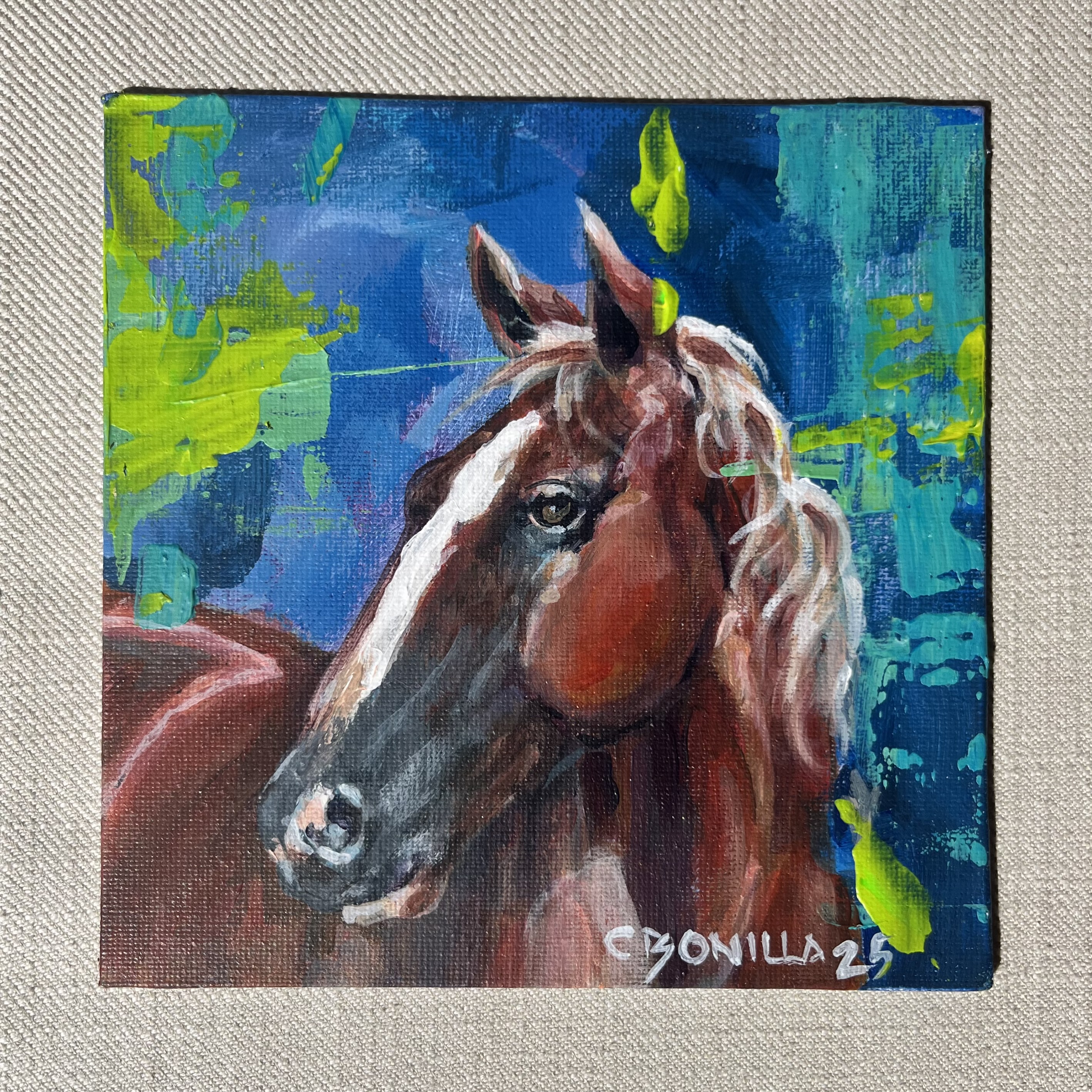 COLECCIÓN MINI - Vista 1