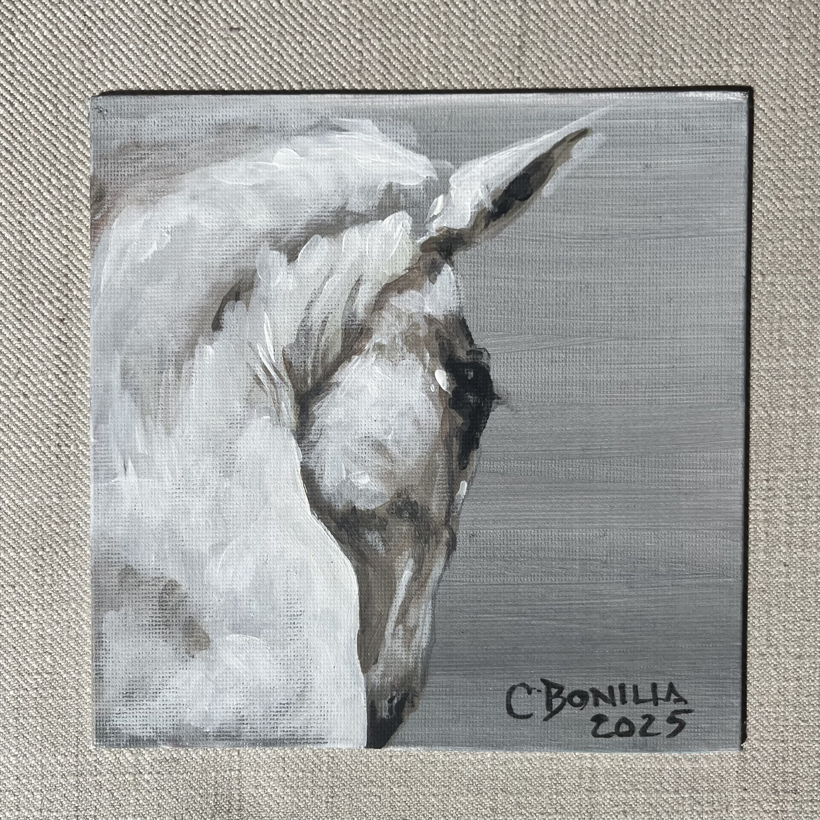 COLECCIÓN MINI - Vista 1