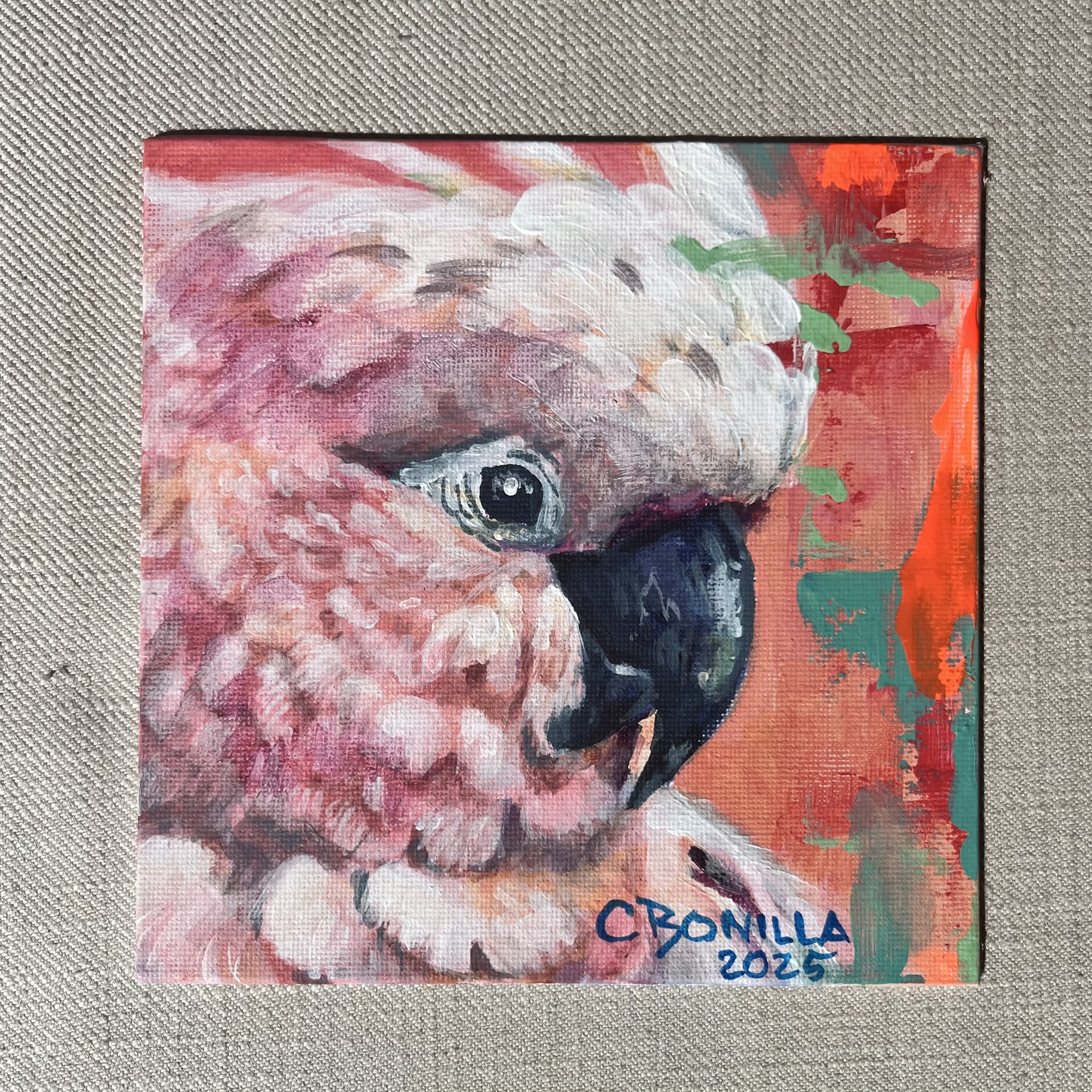 COLECCIÓN MINI - Vista 1